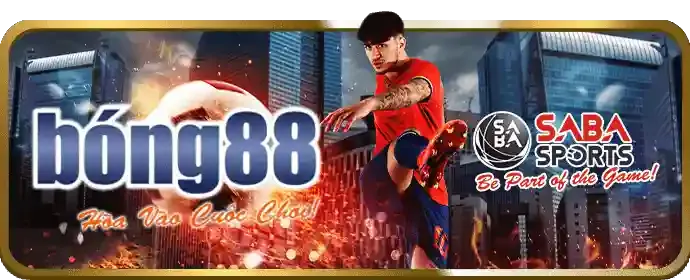 Đá gà Thomo tại bay789 web